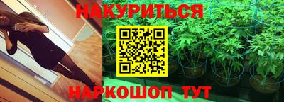 apvp Краснодар