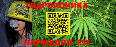 apvp Краснодар