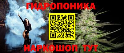 apvp Краснодар
