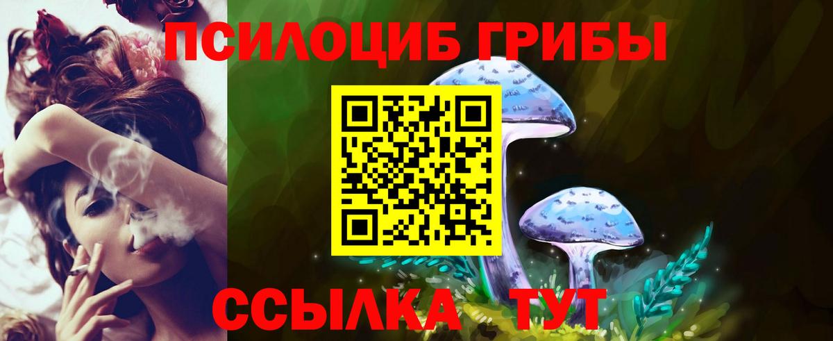 Псилоцибиновые грибы Psilocybe  Вход с VPN  Урай 